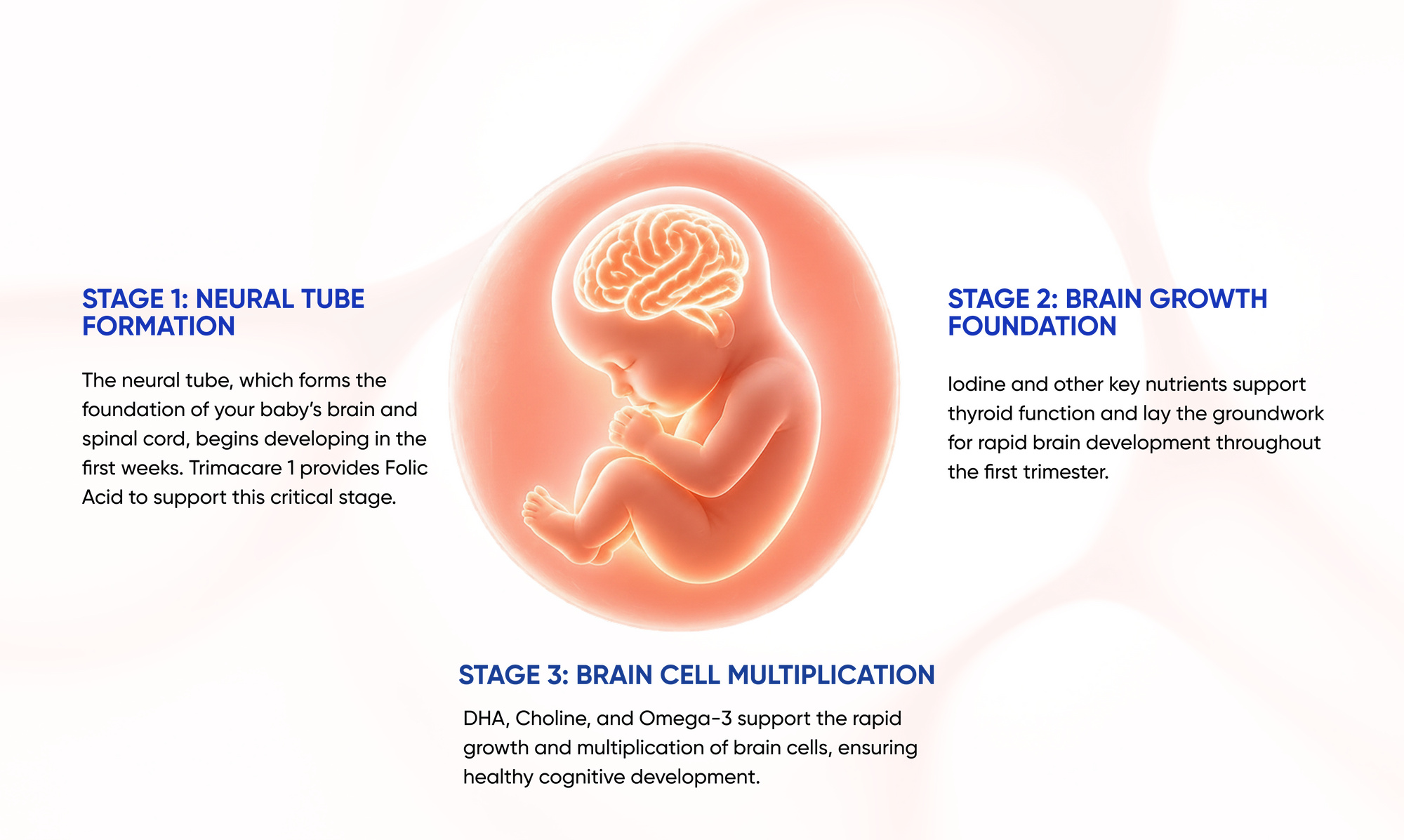 Trimacare 1 Supports All Stages of