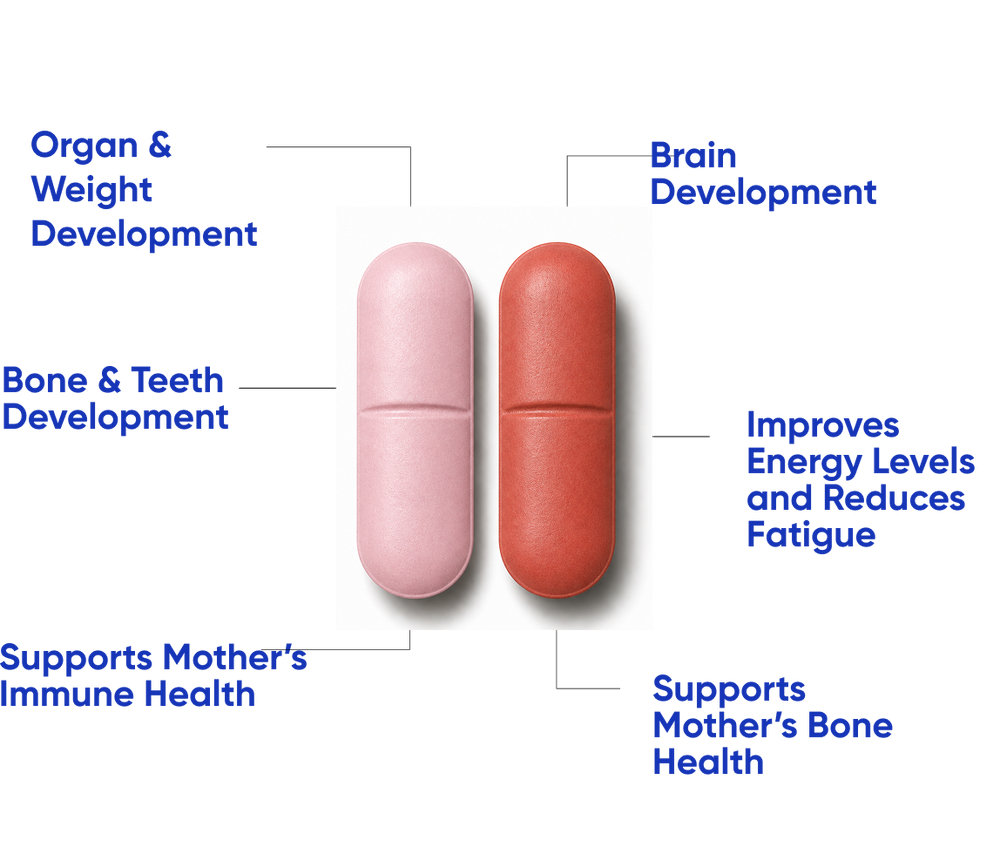 Clinically Formulated with 20+ Essential <br>Nutrients for