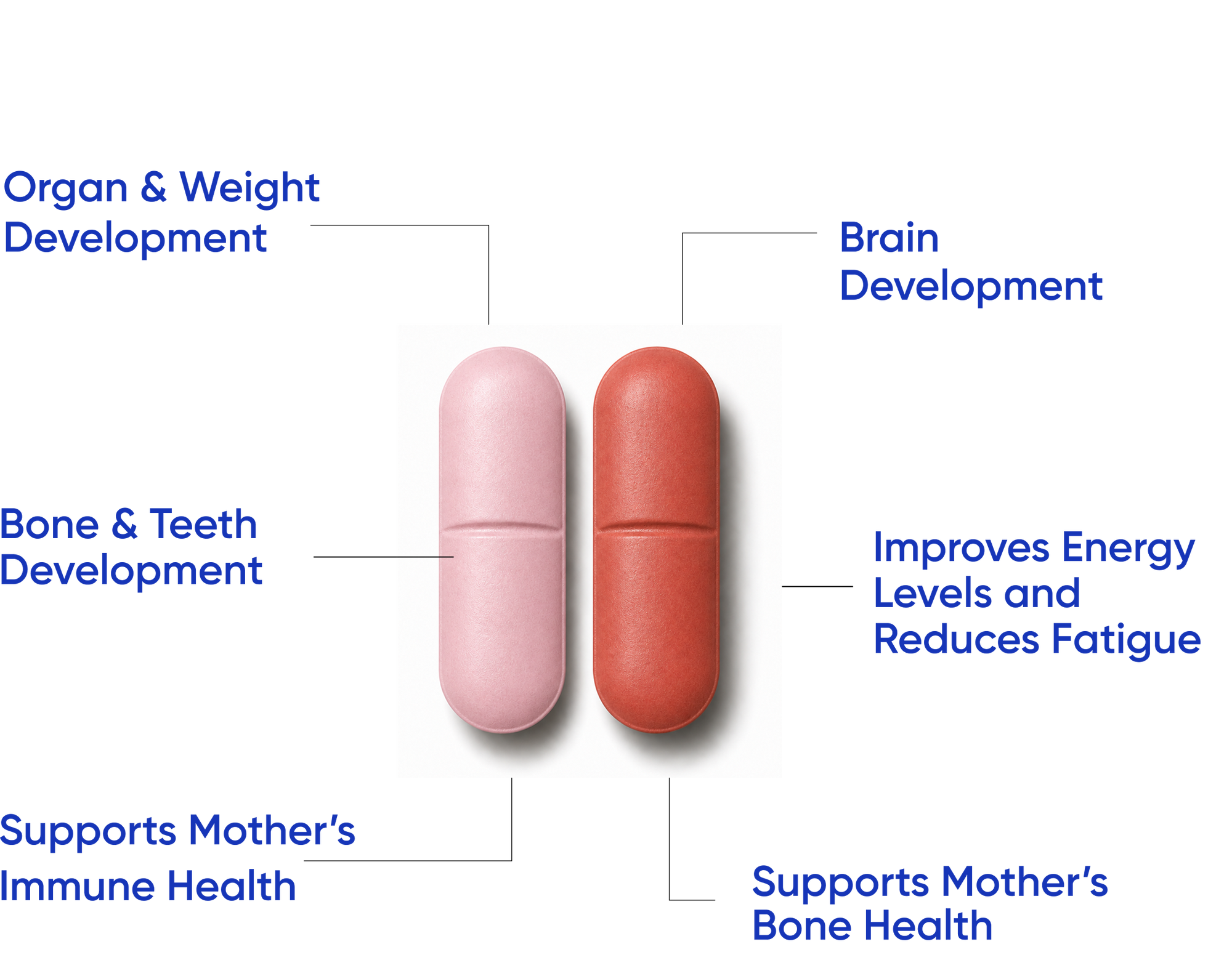 Clinically Formulated with 20+ Essential <br>Nutrients for
