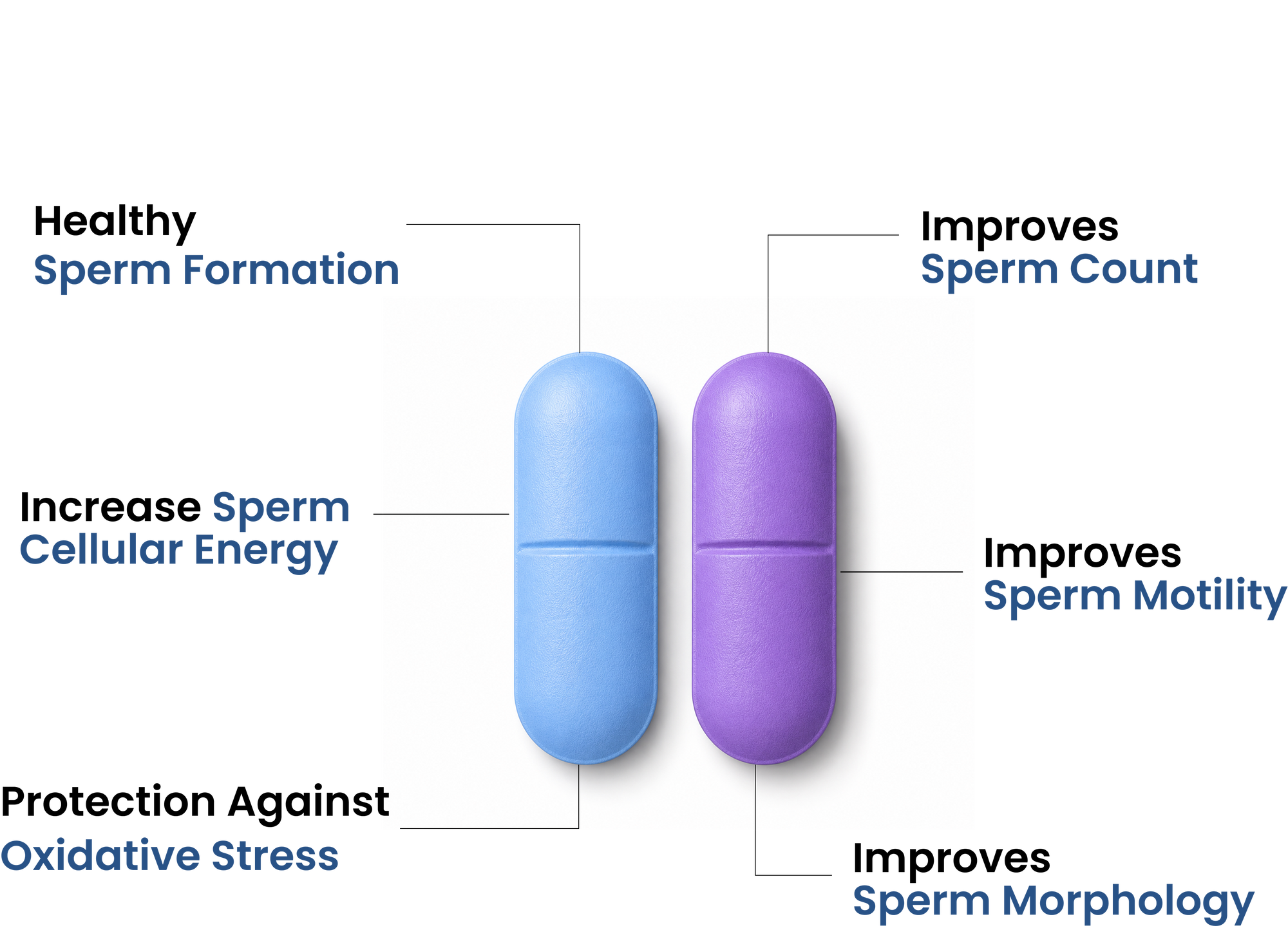 Clinically Formulated To Support Count,