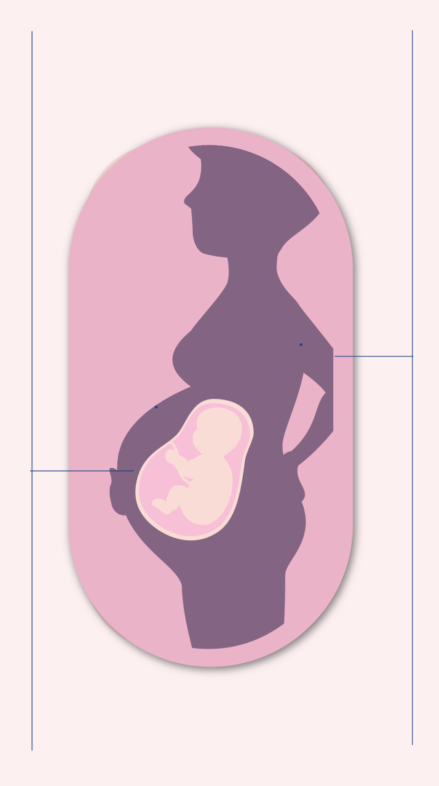 Pregnancy Graphic