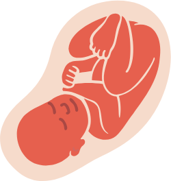 Patented formula promotes optimal weight & organ development