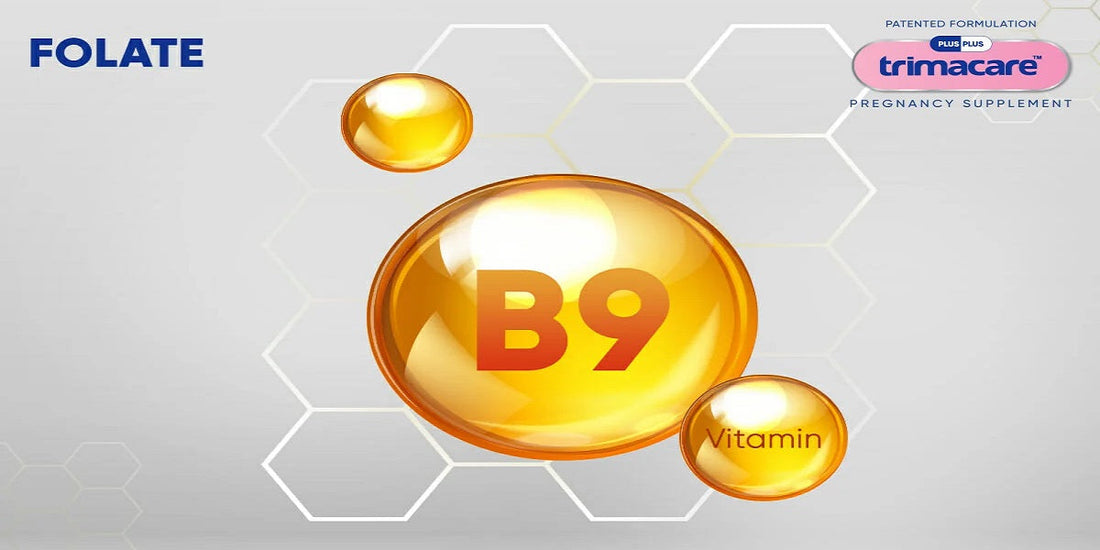 Why is Folate Important During Pregnancy?