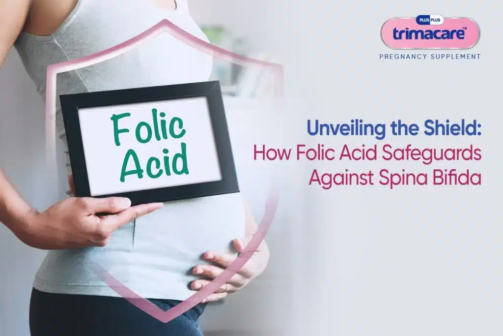How Does Folic Acid Prevent Spina Bifida in Pregnancy?