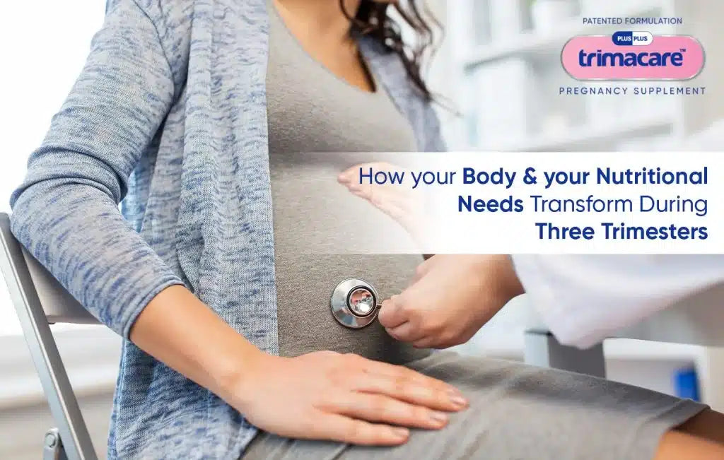 Pregnancy Trimesters Explained – The Changes in Your Body &amp; Nutritional Needs