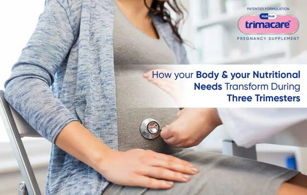 Pregnancy Trimesters Explained The Changes in Your Body & Nutritional Needs