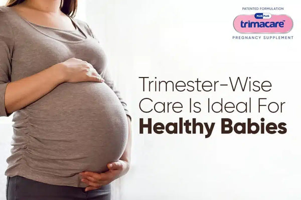 Baby Formation & How Trimester-Wise Care Impacts Your Baby's Development