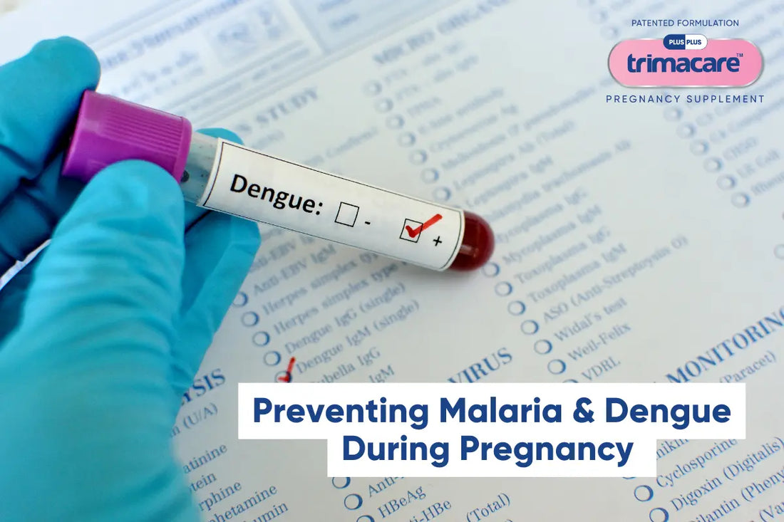 Safe Pregnancy Practices: Preventing Dengue and Malaria Infections