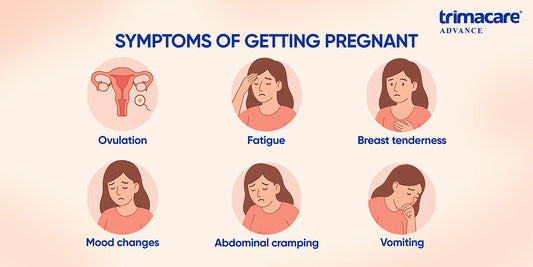 What Are the Symptoms of Getting Pregnant from Ovulation to Vomiting