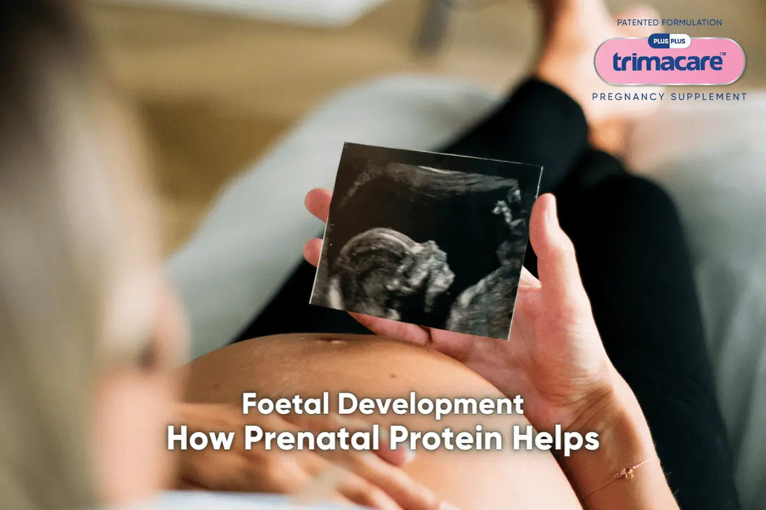 THE ROLE OF PROTEIN IN FOETAL DEVELOPMENT: A DEEP DIVE
