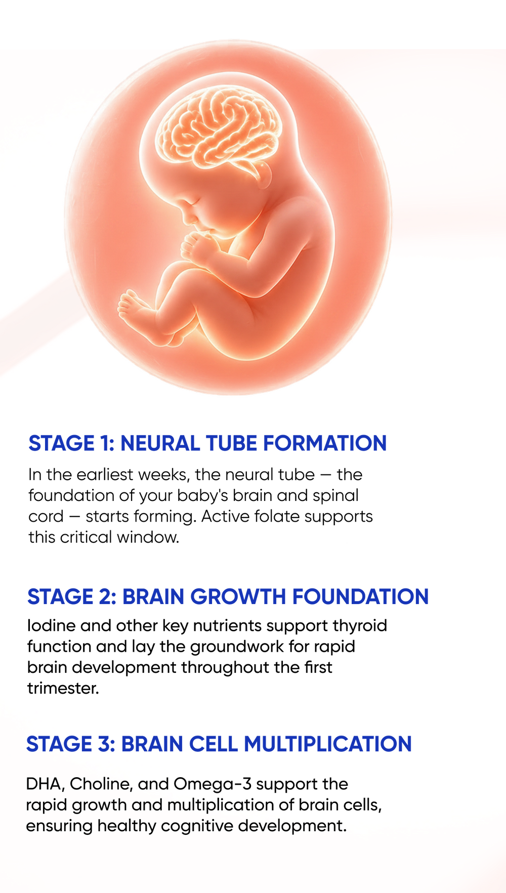 Trimacare 1 Supports All Stages of