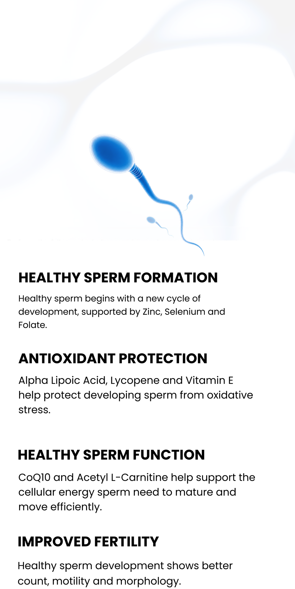 Male Fertility Depends On Three Stages Of