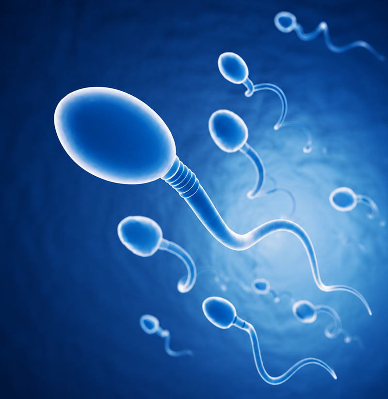 Nutrition, Lifestyle & Oxidative stress affect your
