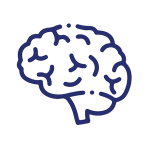 Supports Fetal Brain& Cognitive Development