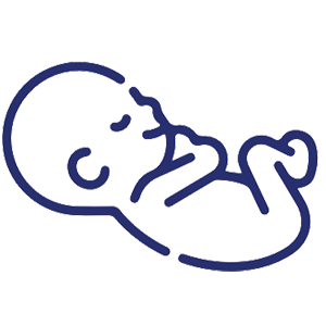 Supports Fetal Brain& Organ Maturation