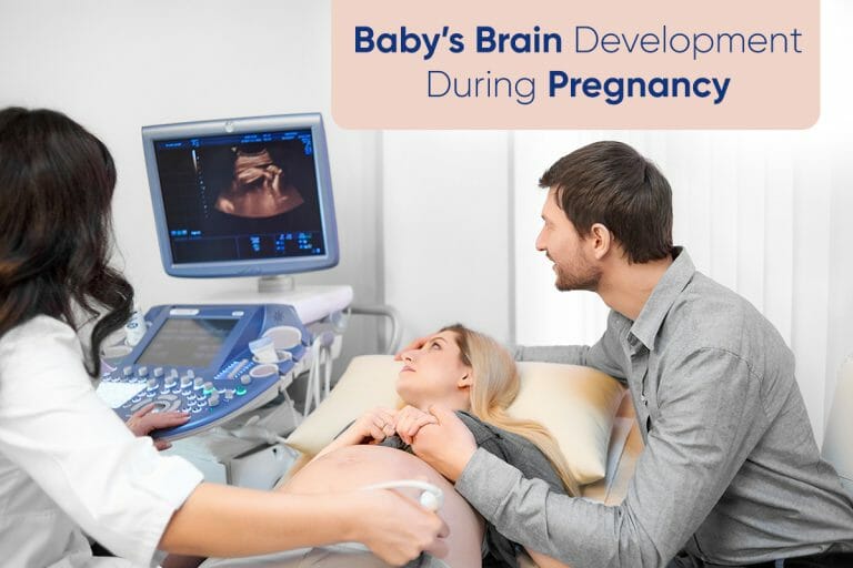 How the Baby’s Brain and Cognitive Skills Develop During Pregnancy
