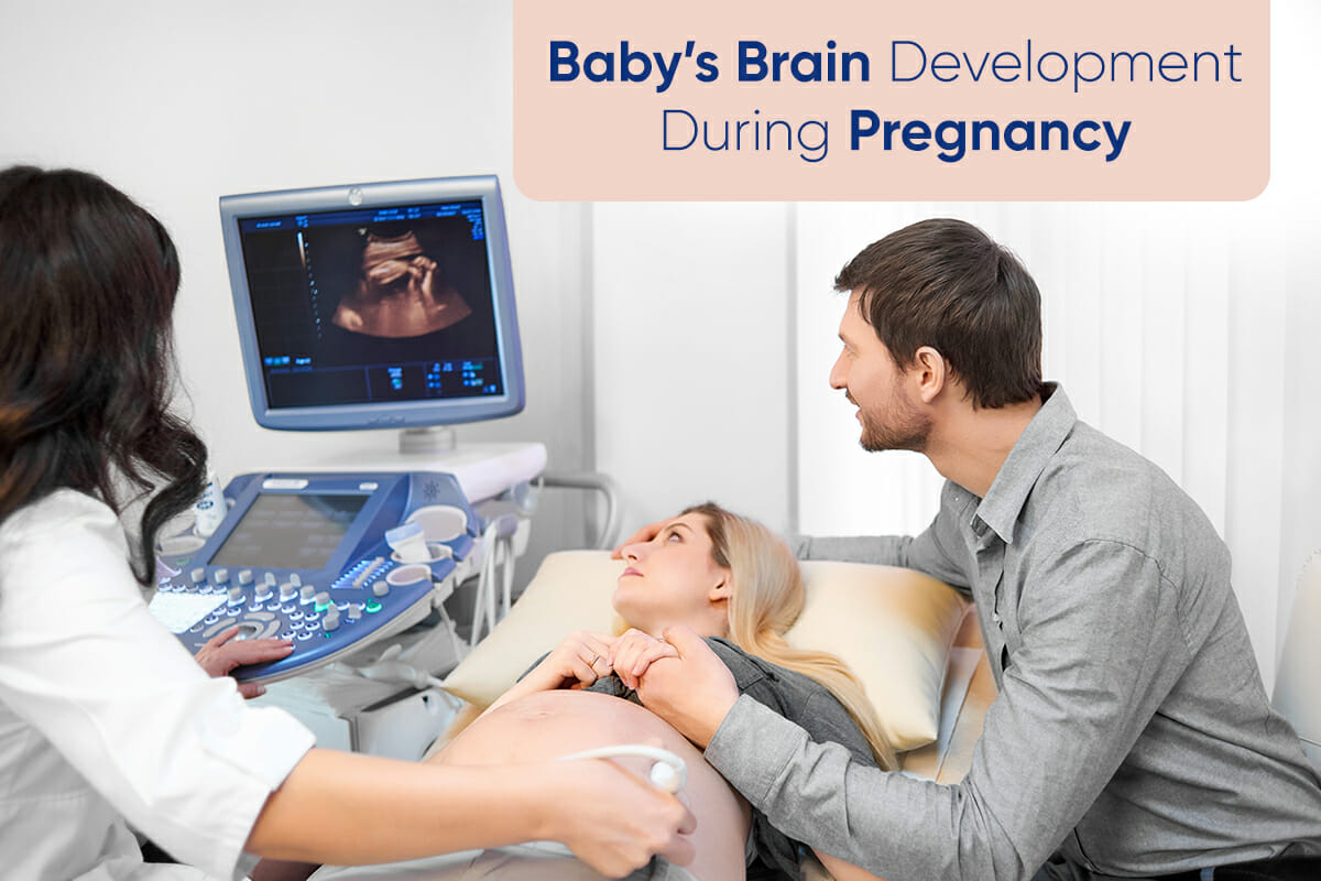 Baby’s Brain Development
