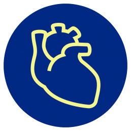 Development of Organs, Bones & Tissues