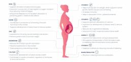 Prenatal Vitamins