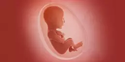 Pregnancy Multivitamins