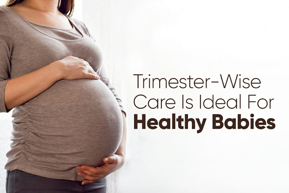 trimester wise baby growth