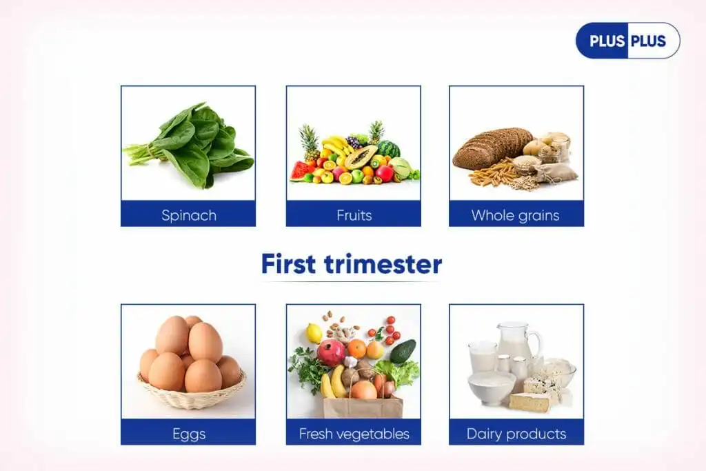 First Trimester Food Chart