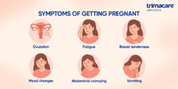 symptoms of getting pregnant