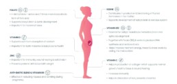 Best Prenatal Multivitamins with folic acid
