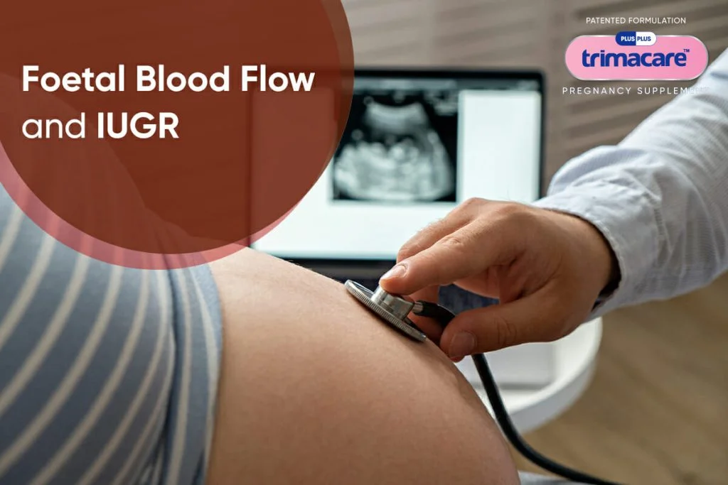 Trimacare Prenatal Multivitamin Tablets for Foetal Blood Flow
